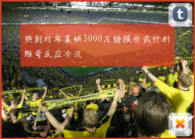 热刺对布莱顿3000万镑报价武什科维奇反应冷淡