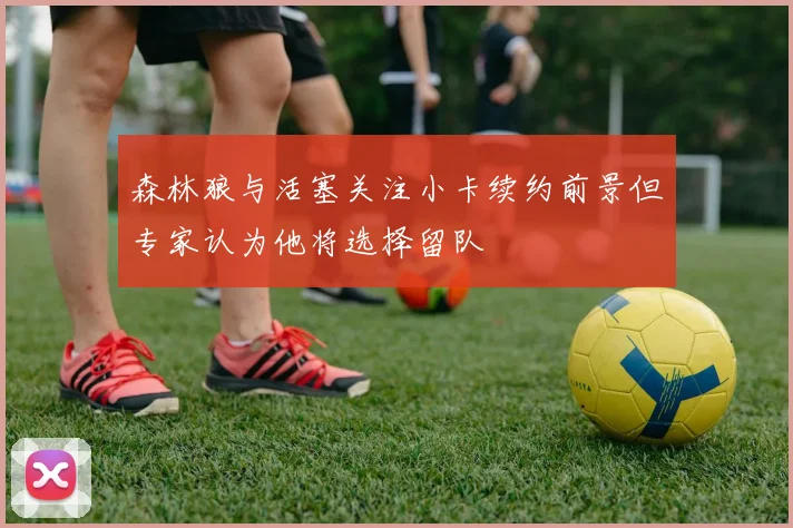 森林狼与活塞关注小卡续约前景但专家认为他将选择留队
