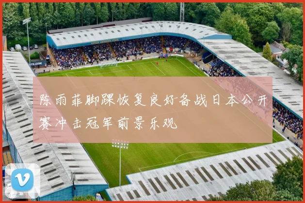 陈雨菲脚踝恢复良好备战日本公开赛冲击冠军前景乐观